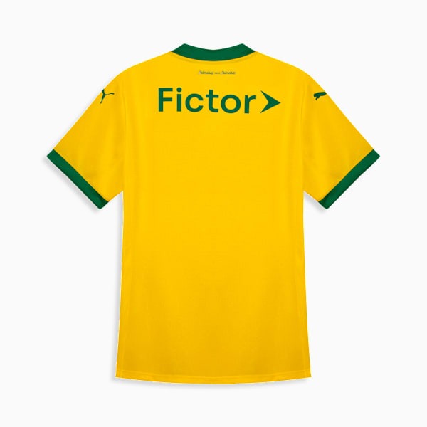 Camisa Feminina Puma Palmeiras 2025/26 III Torcedor